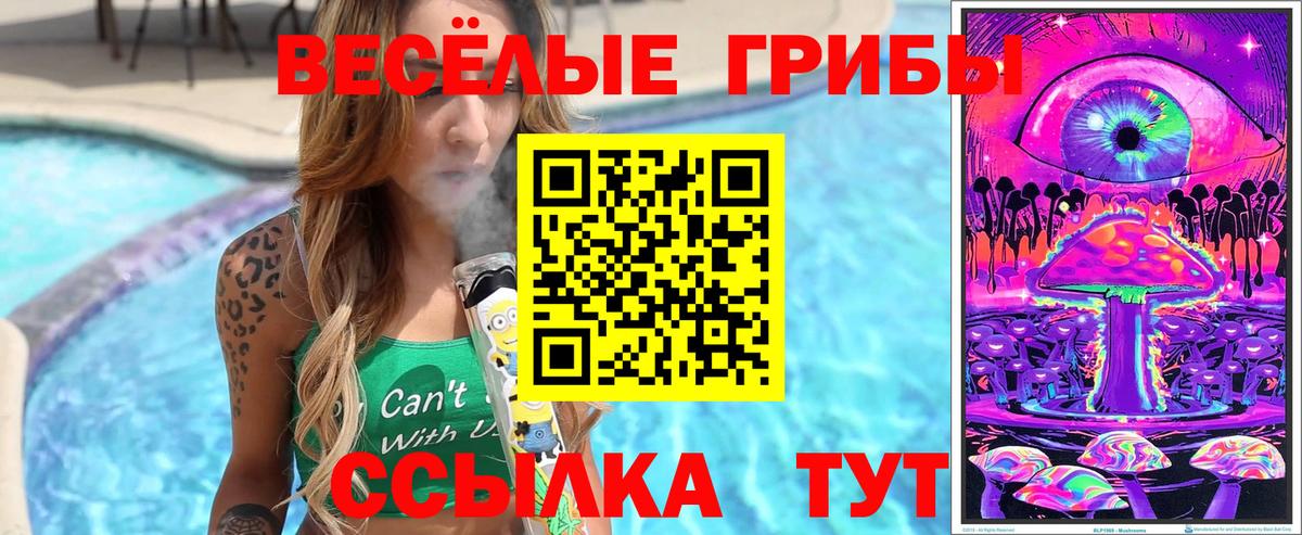 Галлюциногенные грибы MAGIC MUSHROOMS  Вход с VPN  Родники 