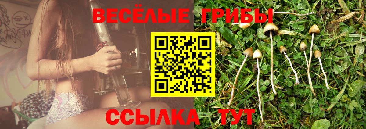 Псилоцибиновые грибы мухоморы Родники
